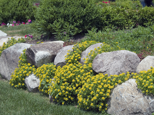 Rocks Used in Landscaping